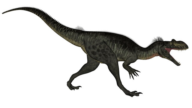 Megalosaurus dinosaur - 3D render