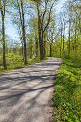 Winding road