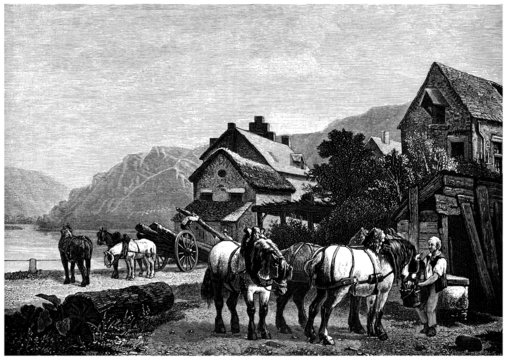 Horses - Country Scene - 19th century