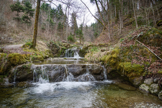 Bach in der Schweiz