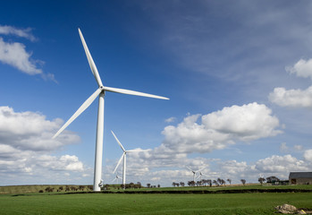 Wind Farm