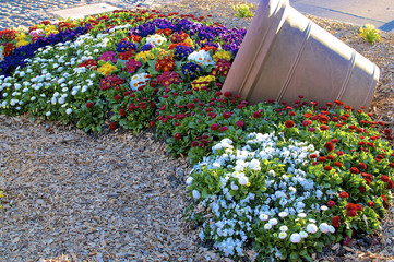Blumenkübel ausgeschüttet