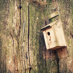 Nesting Box on a tree