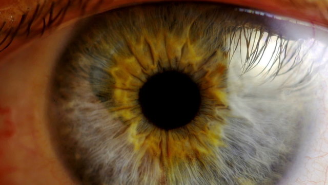 Human eye iris contracting. Extreme close up.
