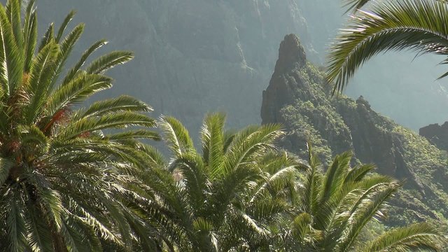 tenerife Masca