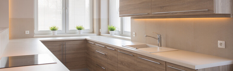Kitchen interior with wooden cupboards