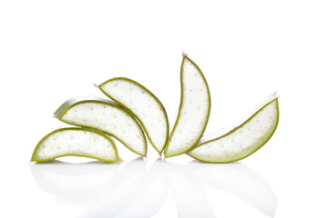 aloe vera isolated on white background