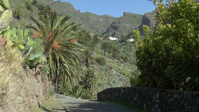 tenerife Masca