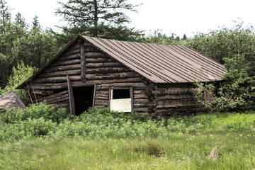 Fototapeta na wymiar Camp Log Cabin