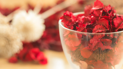 Red Dried flower and leaf in glass.