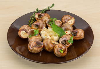Fototapeta premium Escargot