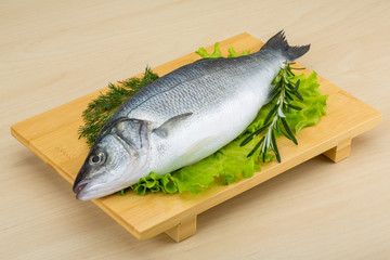 Raw seabass