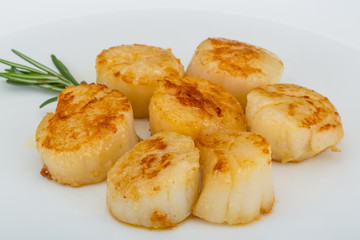 Grilled scallops
