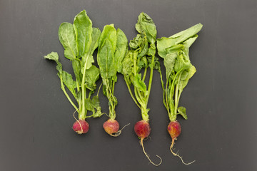 wilted radish