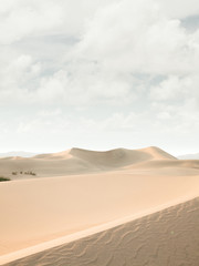 Fototapeta na wymiar day in desert