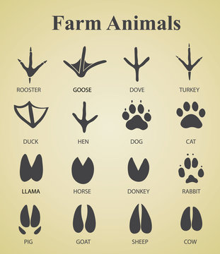 set of farm animal tracks