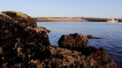 Boat traveling in background at Tavira Island