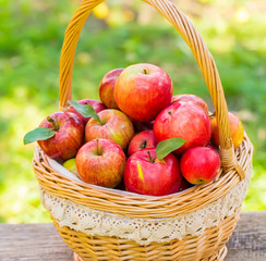 Organic apples in basket in summer grass. Fresh apples in nature