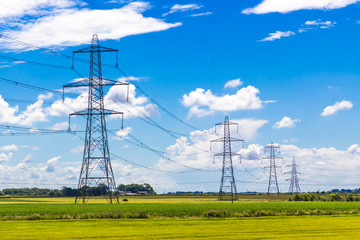 Row of Pylons in the English countryside - obrazy, fototapety, plakaty
