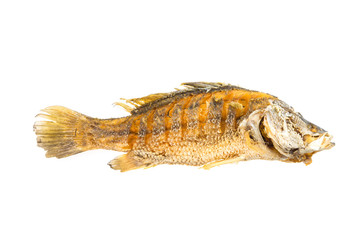 Fried fish isolated