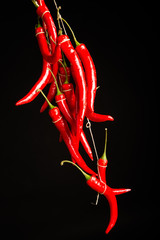 Bundle of hot peppers