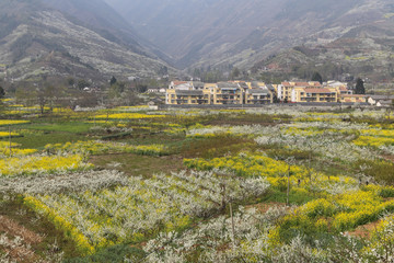 Obraz premium the landscape in chengdu, china