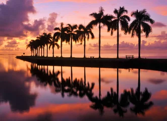 Sierkussen Miami Zonsopgang © doncon402