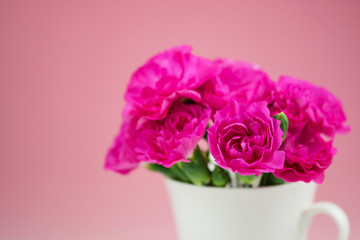 カーネーション