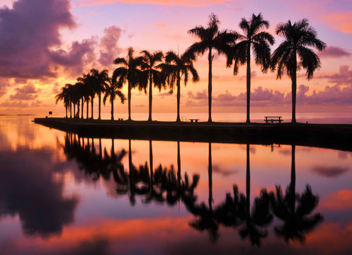 Fototapeta Miami Sunrise