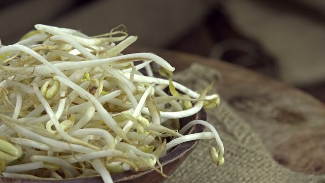 Portion of Mungbean Sprouts (not loopable)