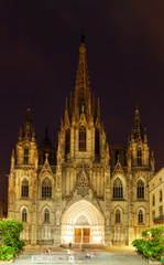 Fototapeta na wymiar Night view of Barcelona Cathedral
