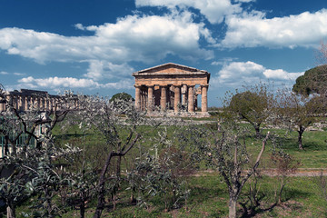 Area Archeologica Paestum - Templi