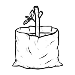 growth plant in plastic bag