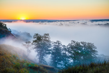 Misty dawn over Valley and the forest