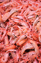 coquillages et crustacés