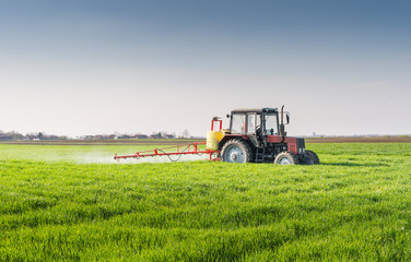 Tractor spraying wheat field