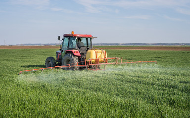 Obraz premium Tractor spraying wheat field