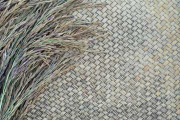ear of rice berry  on bamboo background