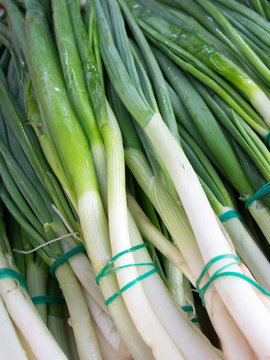 bunches of fresh green onions