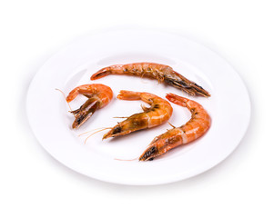 Tiger shrimps on white.