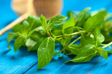 Fresh mint leaves on blue wood