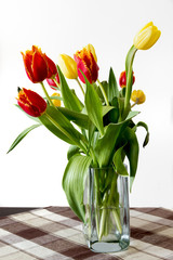 Tulipany w wazonie na białym tle