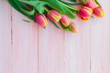 Art abstract background spring tulips wooden design