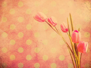 Tulip flower over pink polka dot wallpaper