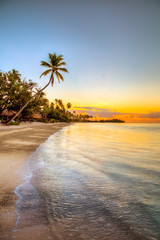 isole caraibiche di polinesia con palme e tramonto