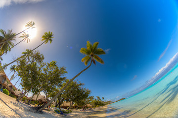 isole caraibiche di polinesia con palme e tramonto