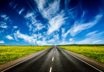 Fototapeta premium Road in blooming spring meadow