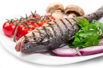 Grilled seabass on plate with tomatoes.