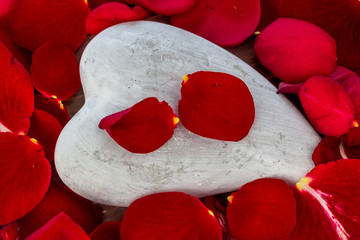 Rote Rosen mit Herz. Liebe zum Valentinstag
