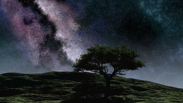 Time lapse purple night sky stars over the hill with tree